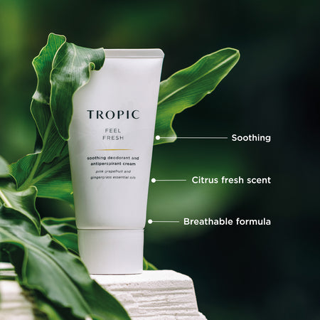 Feel Fresh soothing deodorant and antiperspirant cream contains pink grapefruit and gingergrass essential oils. It's soothing, has a citrus scent and is a breathable formula. Product is in a white tube with a leaf draped over.